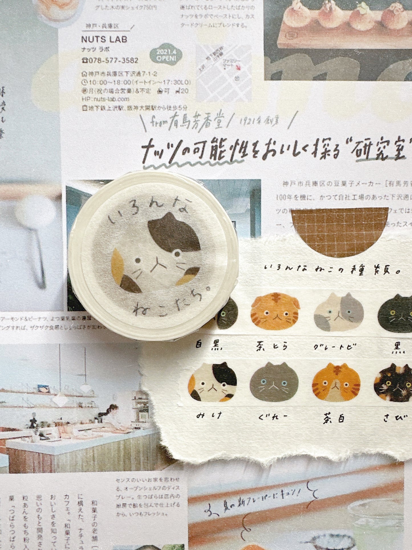 All Sort of Cats Washi tape