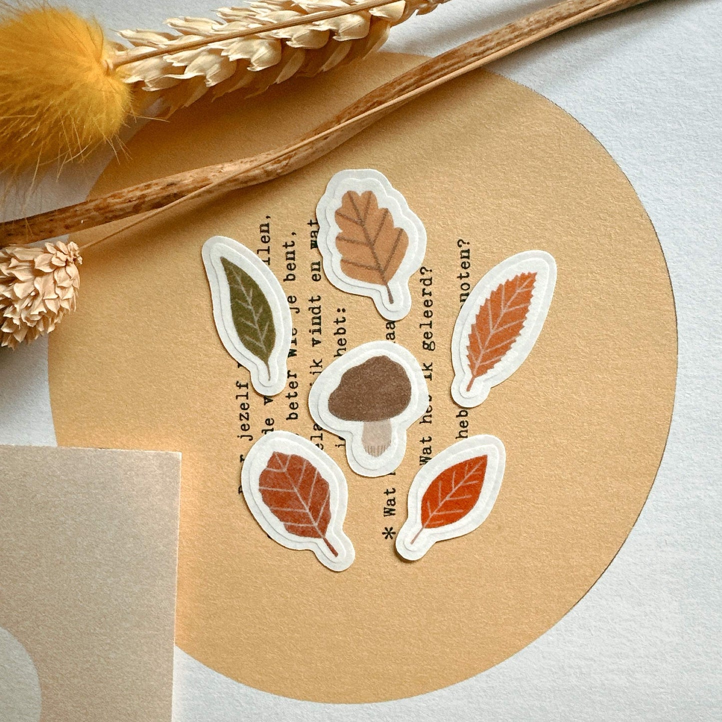 Mini Washi Sticker Flakes Set 02 Autumn leaves