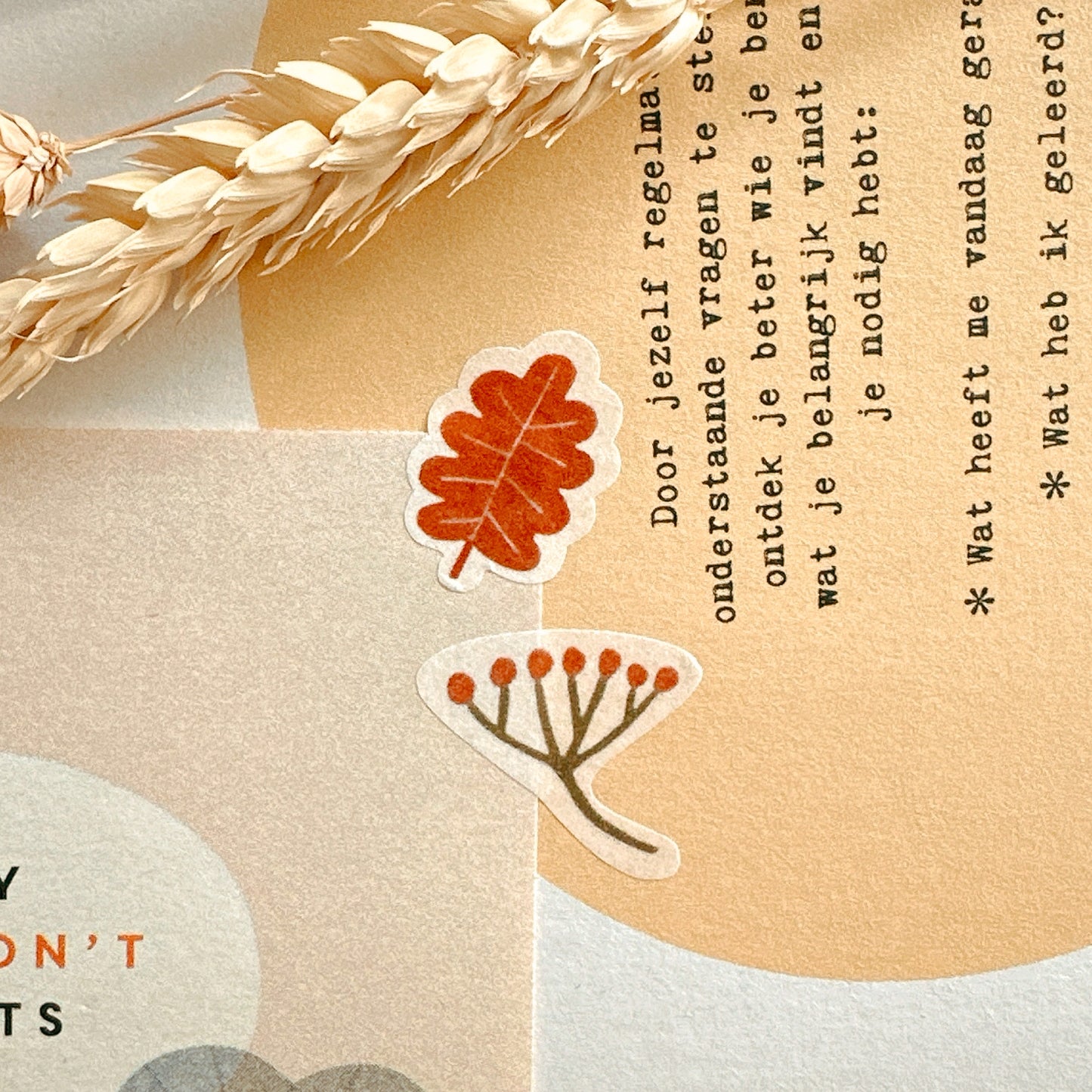 Mini Washi Sticker Flakes Set 02 Autumn leaves